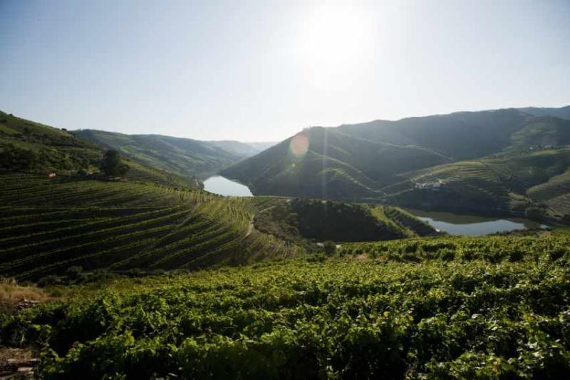 Vintage Port Quinta do Seixo